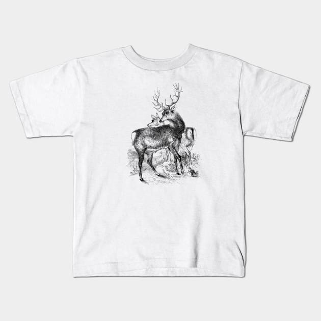 Deer Vintage Illustration Kids T-Shirt by Biophilia